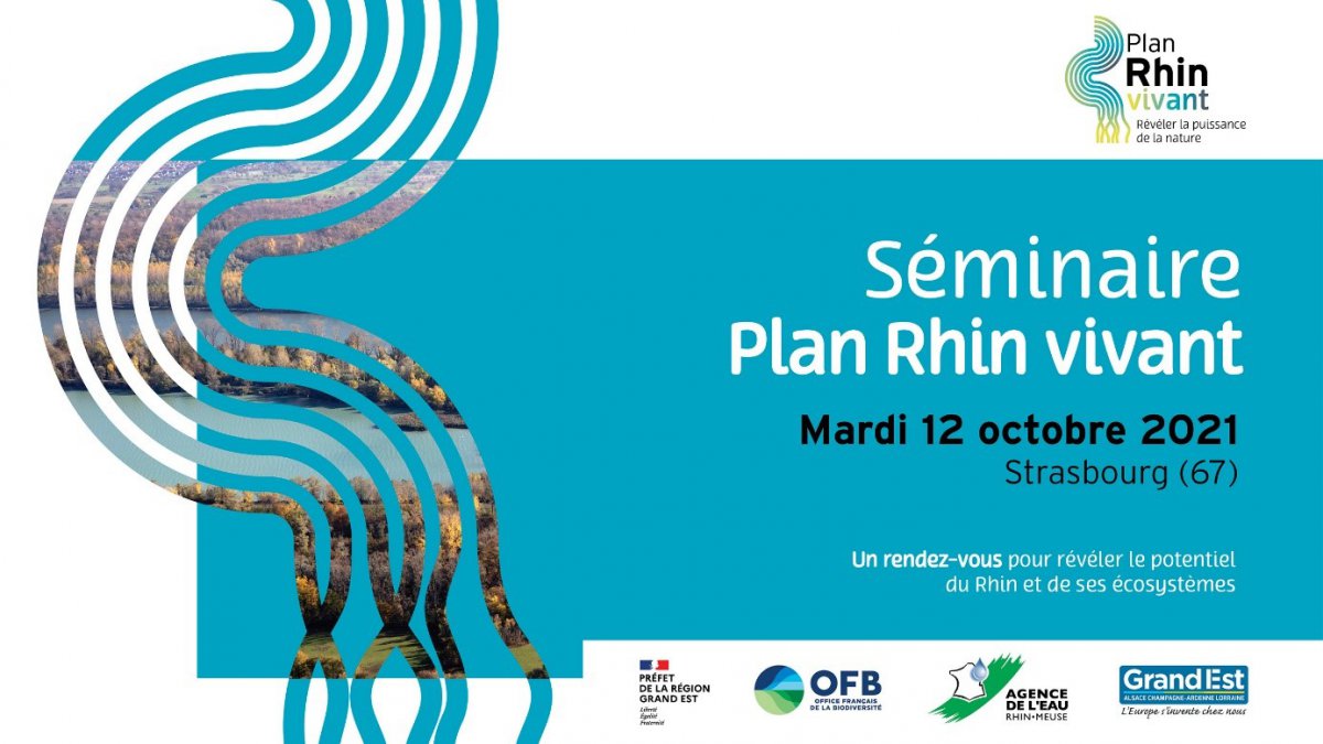 Séminaire Plan Rhin vivant mardi 12 octobre 2021