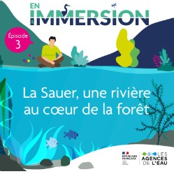 Pictogramme en immersion