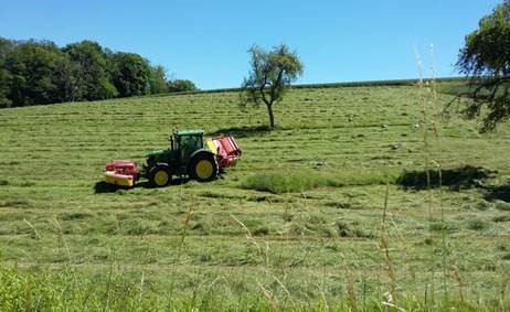 Un tracteur dans un champ