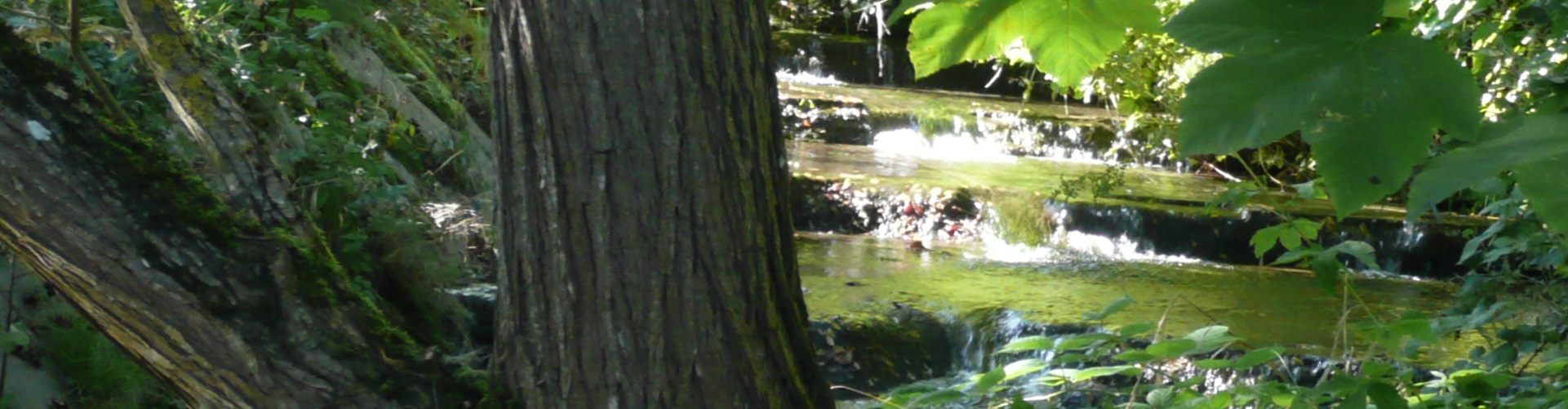 cours d'eau aménagé