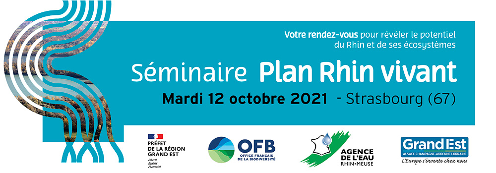 Bandeau séminaire plan Rhin vivant