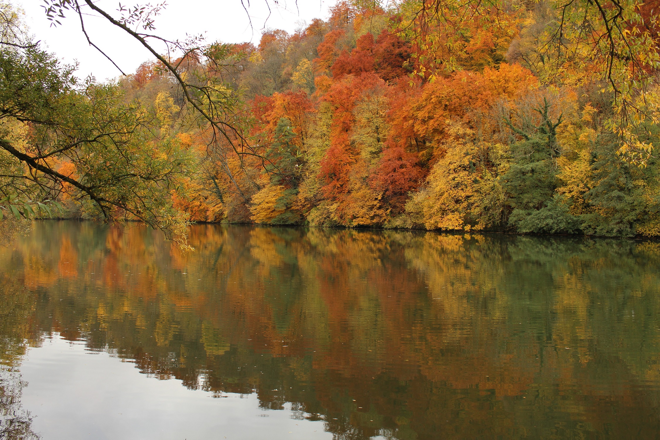 Fleuve en automne