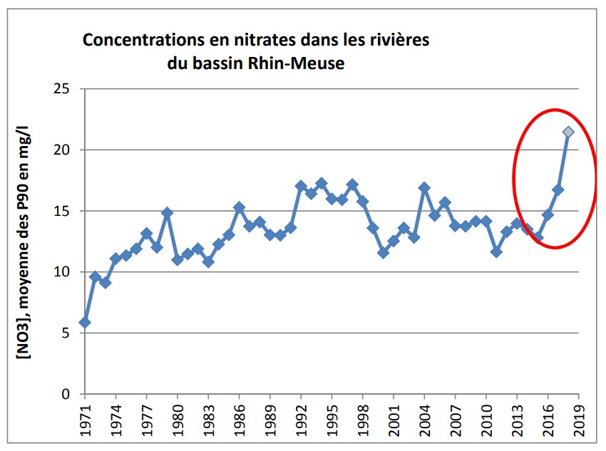 évolution de la concentration en nitrate dans les rivières du bassin Rhin-Meuse entre 1971 et 2019