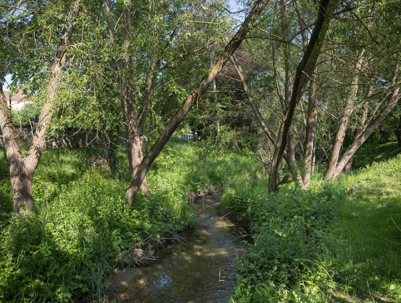 Le ruisseau de l'agence de l'eau Rhin-Meuse