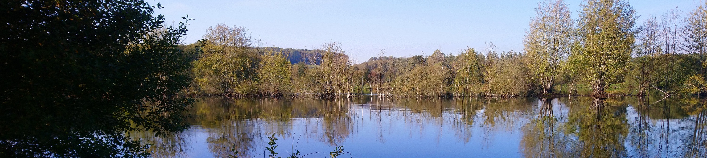 Vue sur un étang