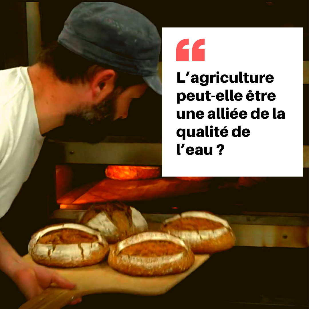 l'agriculture peut-elle être une alliée de la qualité de l'eau ?