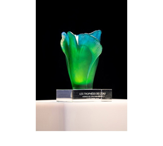 VASE DAUM