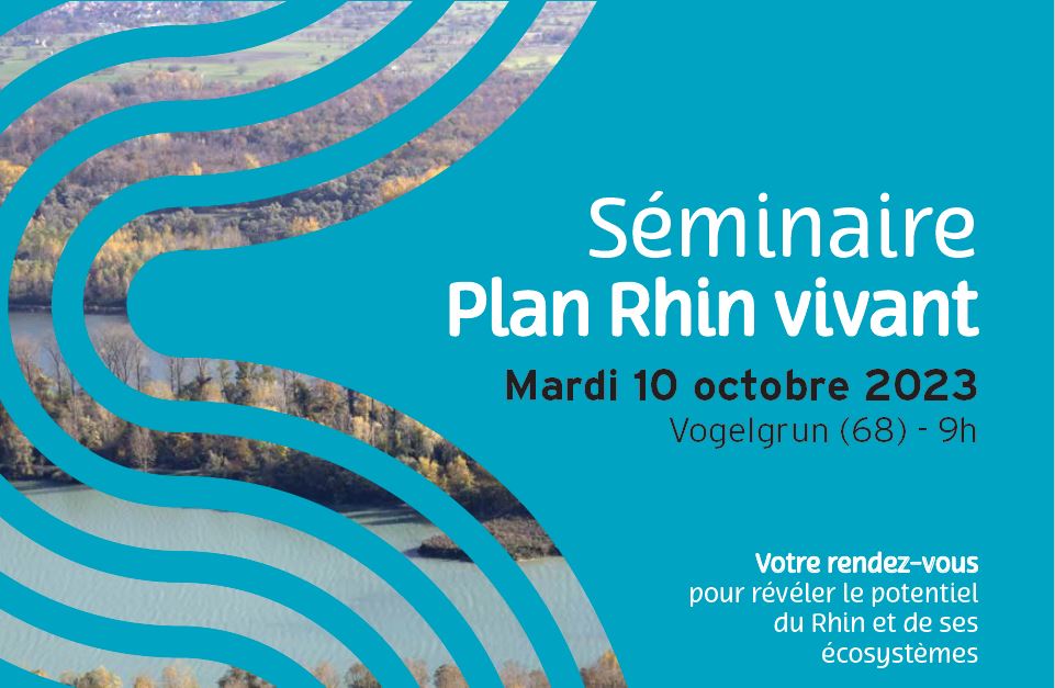 Séminaire Plan Rhin vivant