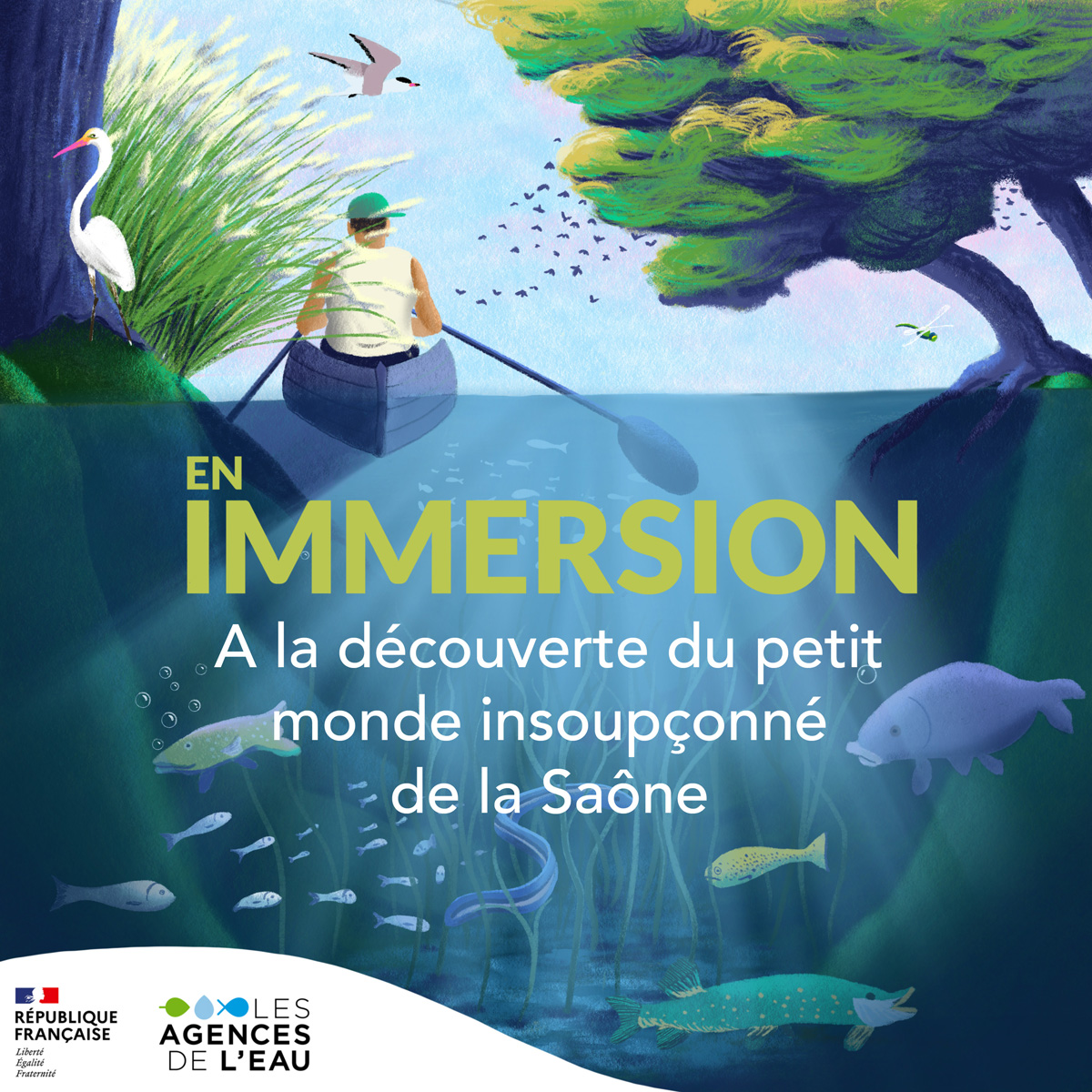 Saone-En_Immersion