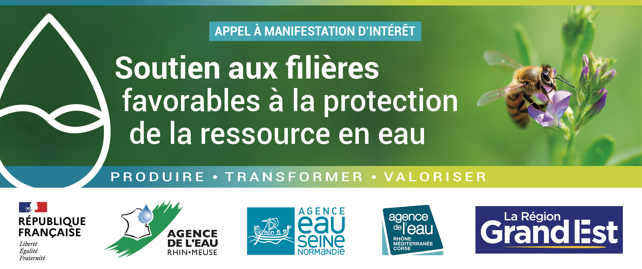 bandeau AMI Filières