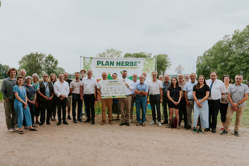 Plan herbe