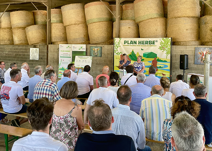 Plan herbe Ouest Vosges