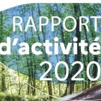 rapport d'activité 2020