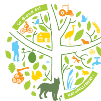 Logo Collectif régional pour la biodiversité