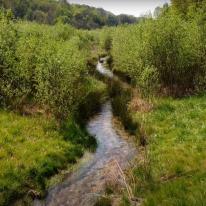 Le ruisseau de Grandfontaine