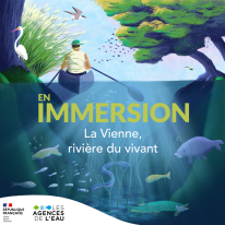 En immersion : La Vienne, rivière du vivant