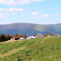 Eau en agriculture