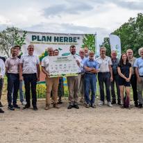 Plan herbe Ried