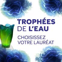 visu-actu-vote