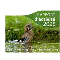 Rapport d'activité 2025