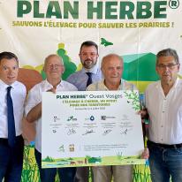 Plan herbe Ouest Vosges