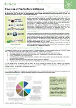 FICHE ACTION