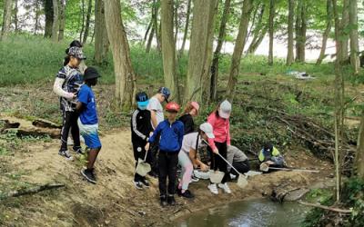 Sortie à Vigy : étude de la santé du ruisseau + le rôle de la mare. 