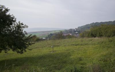 Remise en herbe dans le périmètre d’un captage d’eau potable