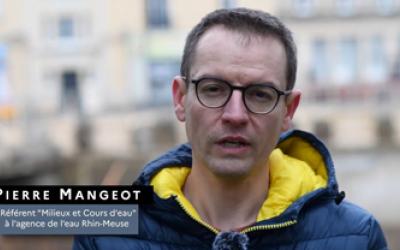 Pierre Mangeot